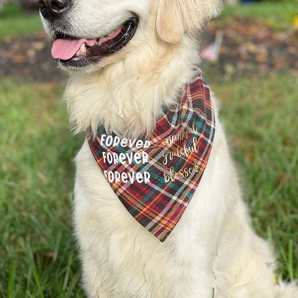 Forever Cotton Dog Bandana