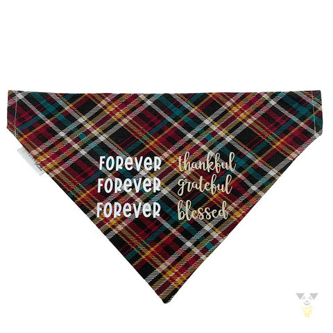 Forever Cotton Dog Bandana